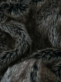 Detail View 4