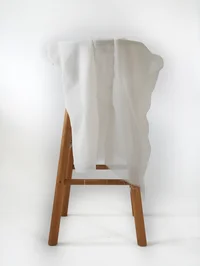 Primary View