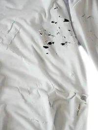 Detail View 2